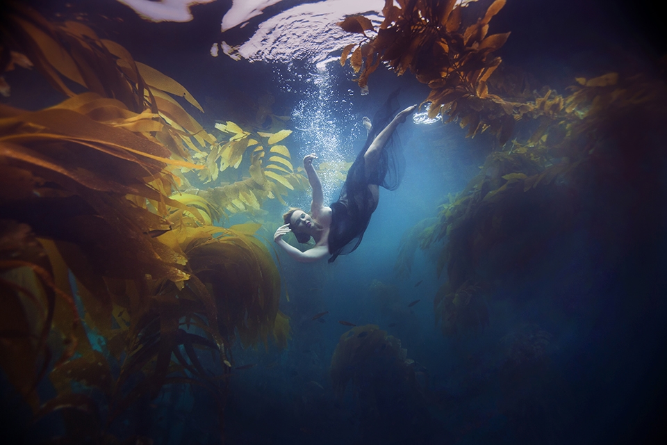 KELSEY WILHM IS SEEN FLOATING IN A BED OF KELP SURROUNDED BY FISH IN THE OCEAN. (PHOTOGRAPH BY © JENNY BAUMERT 2013.)