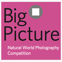 Конкурс фотографий природы Big Picture