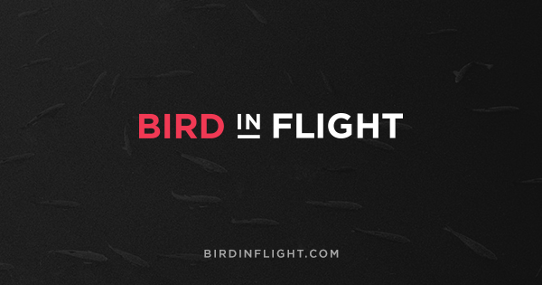 О журнале — Bird In Flight