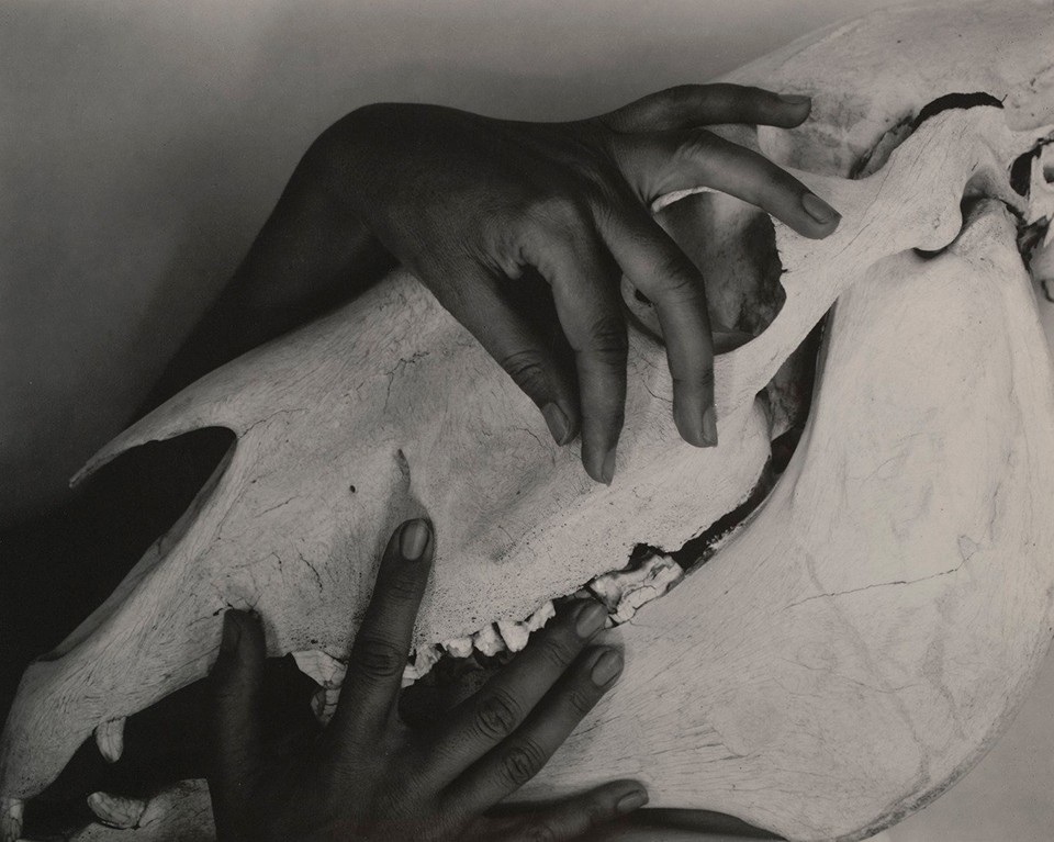 stieglitz_02