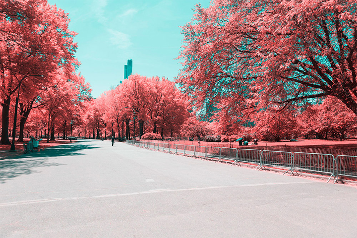 new-york-infrared_03