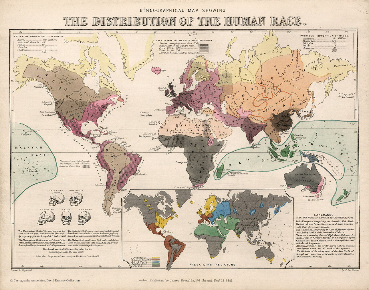 Ethnographical-map-showing-the-distribution-of-the-human-race