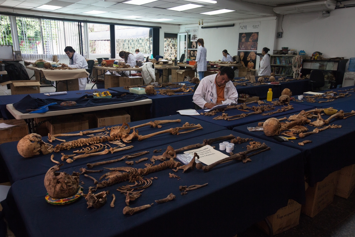 The FAFG: Forensic Anthropology Foundation of Guatemala