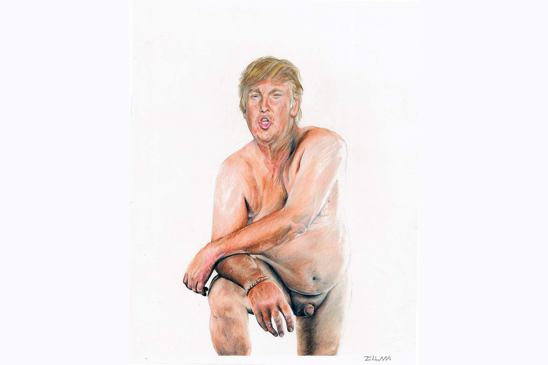 Donald trump erotic book