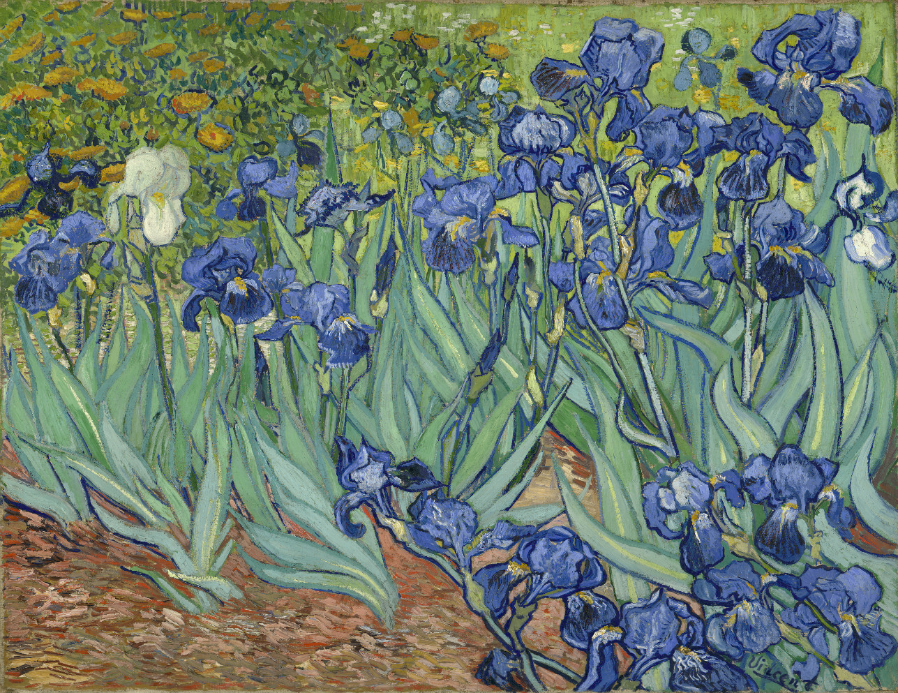 museums_getty_vangogh