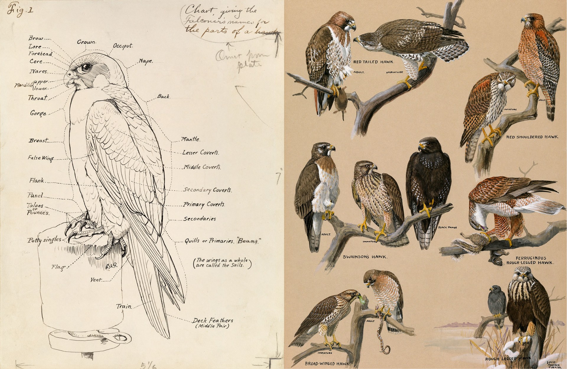 nat-geo-infographics-book_03