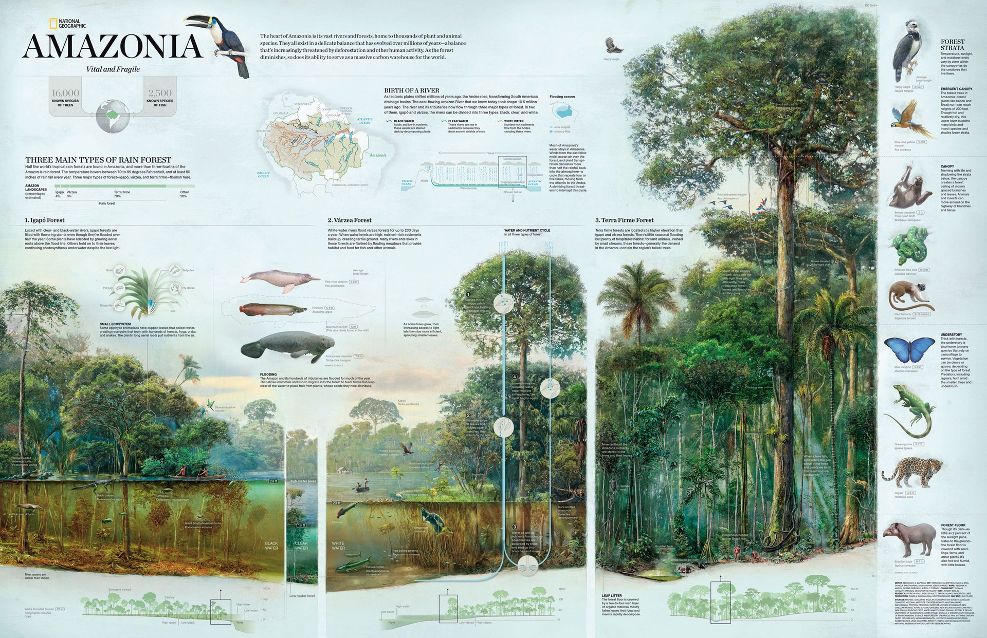 nat-geo-infographics-book_05