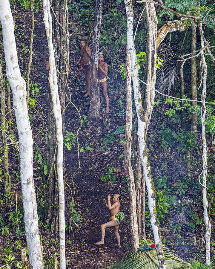 Фотограф случайно заснял жителей изолированного племени в лесах Амазонии. Интернет-журнал birdinflight.com