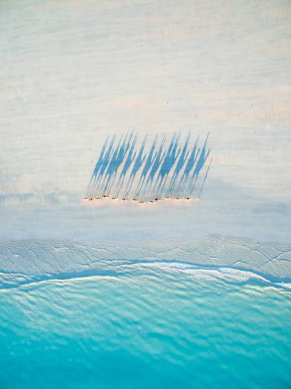 Beach Camel Caravan