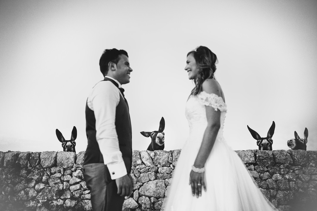 Сообщество свадебных фотографов ISPWP выбрало лучшие снимки года. Интернет-журнал birdinflight.com