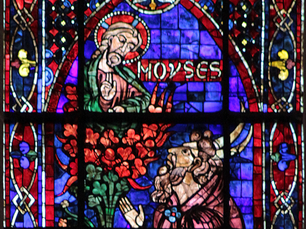 Chartres-102_Moïse