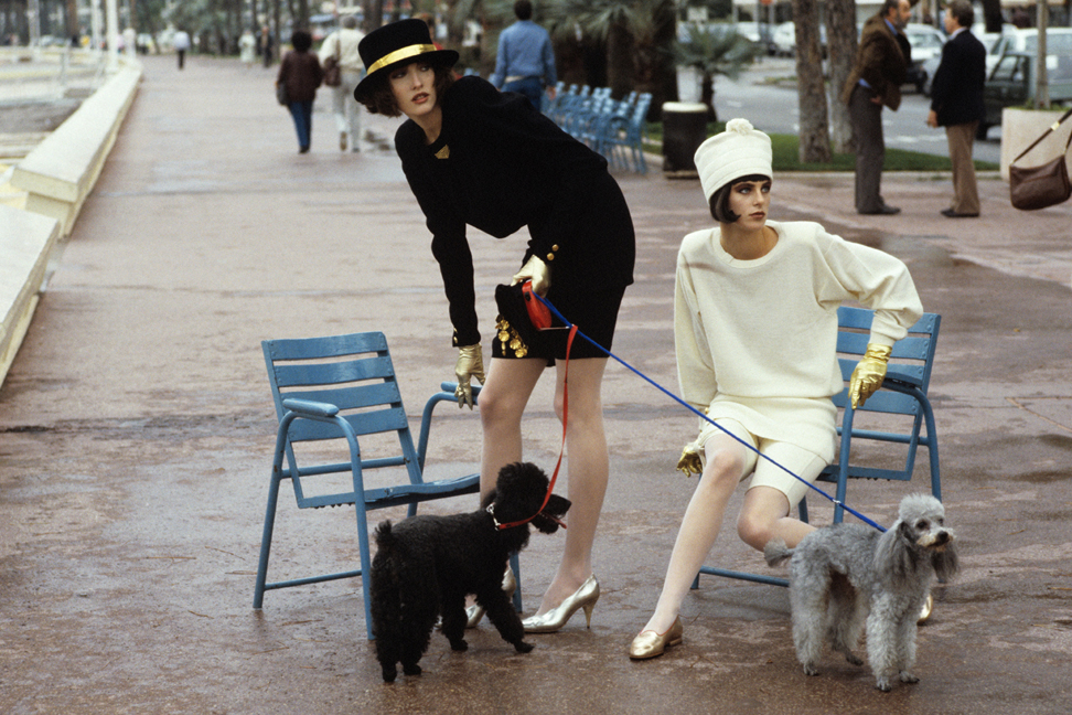 Women with Poodles in Park