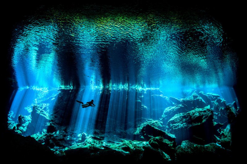 underwater-Photographer-of-the-Year_02