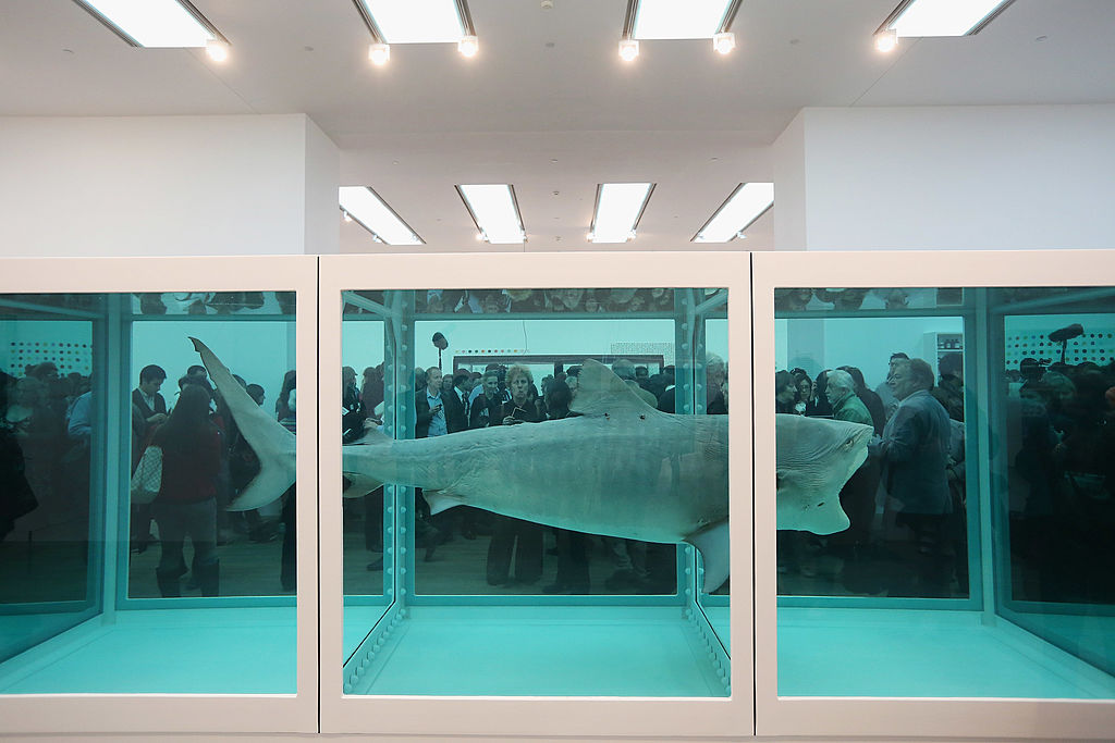 How-Many-Animals-Have-Died-for-Damien-Hirst_02