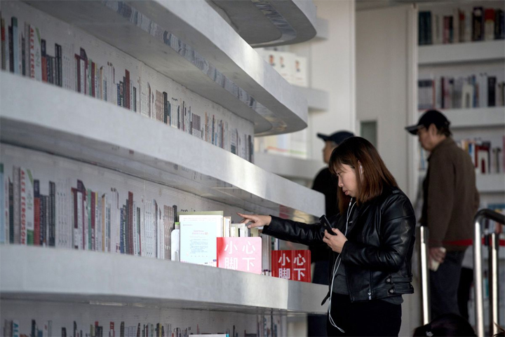 china-library-fake-books_03