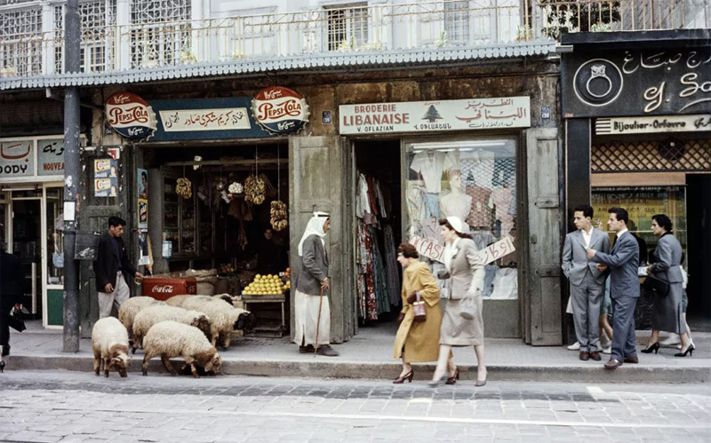 national-geographic-book_01