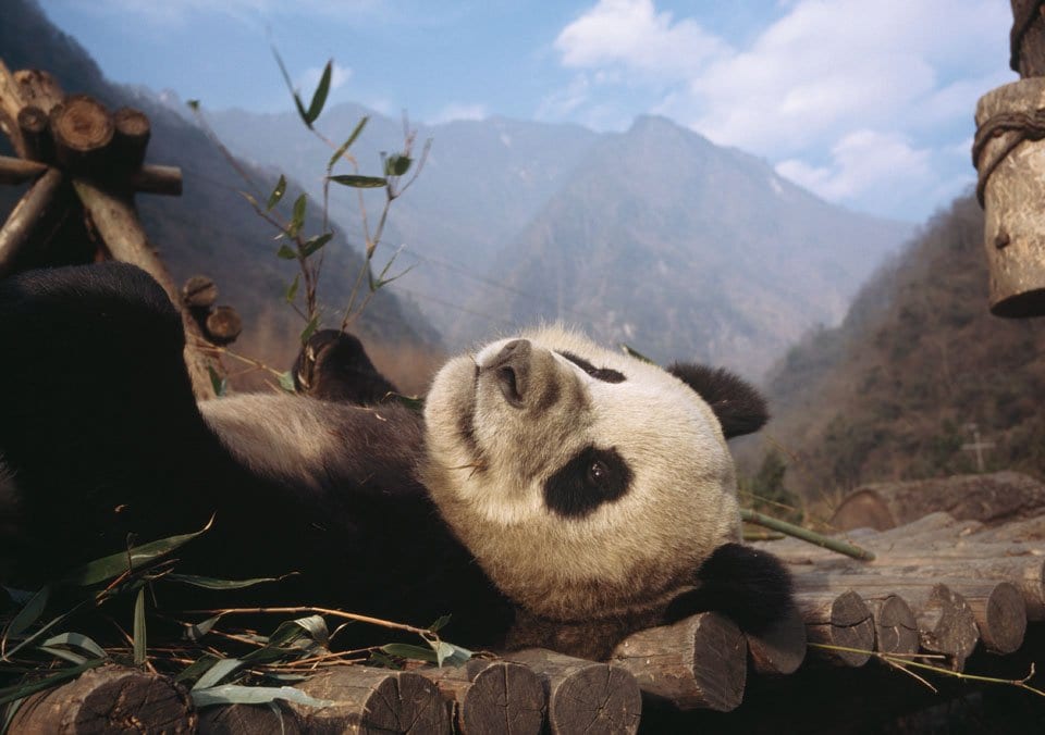 national-geographic-book_08