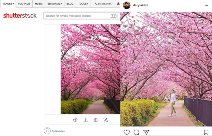 fake-instagram-photos-account_04