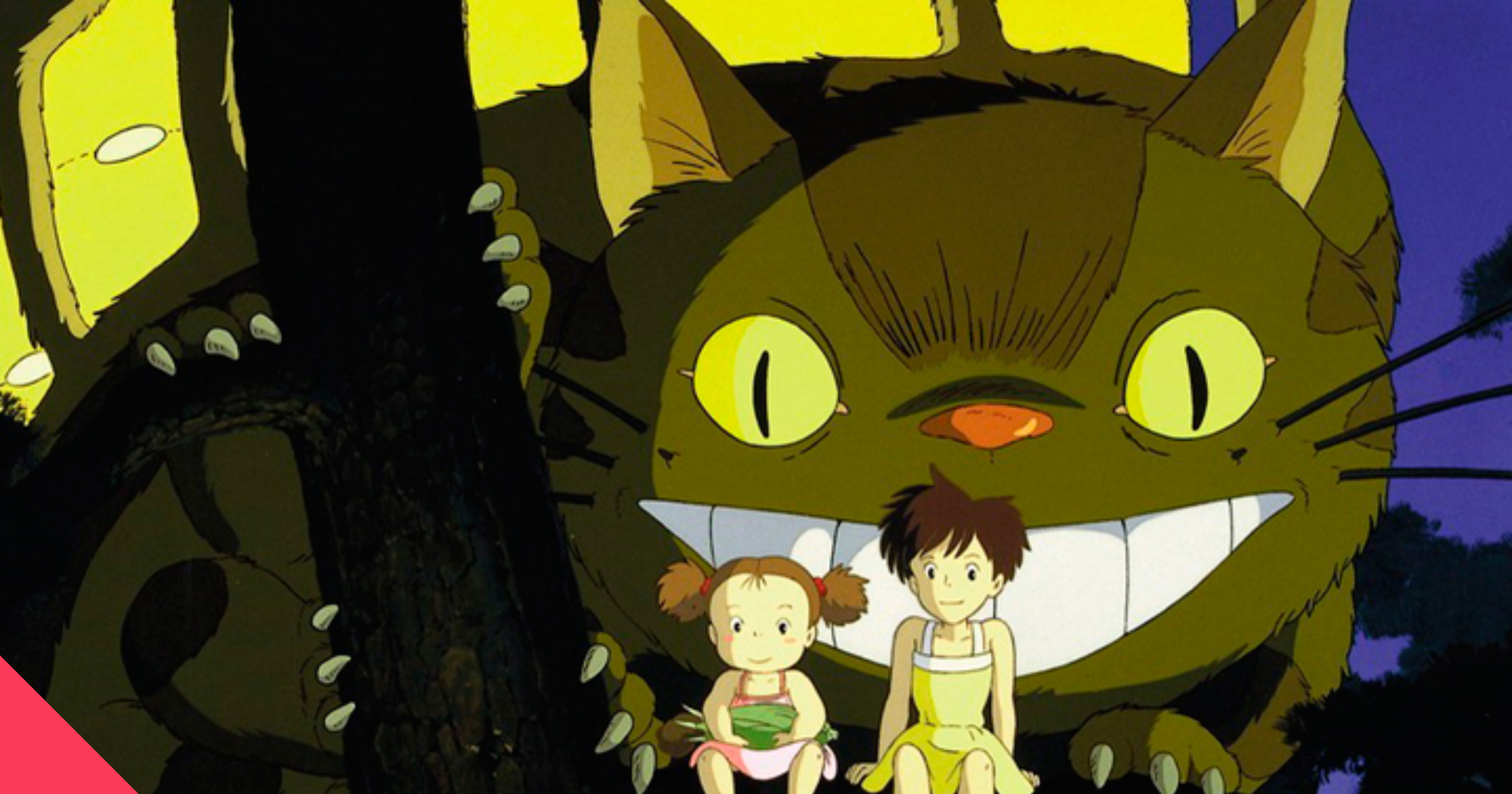 Студия Ghibli выпустила коллекционные куртки к 30-летию мультфильма «Мой  сосед Тоторо» — Bird In Flight