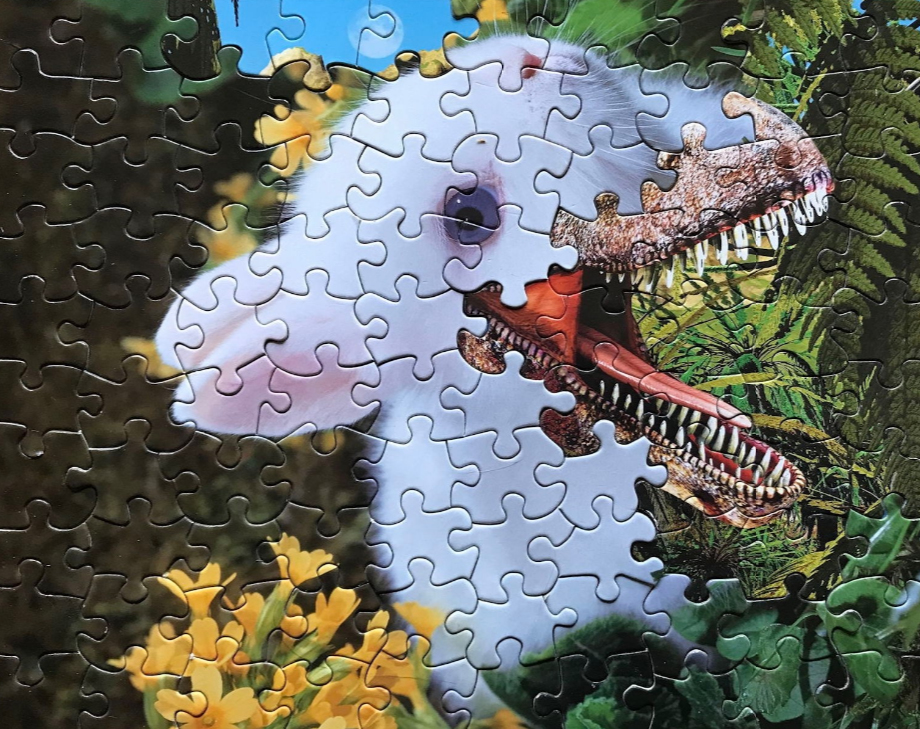 puzzle7