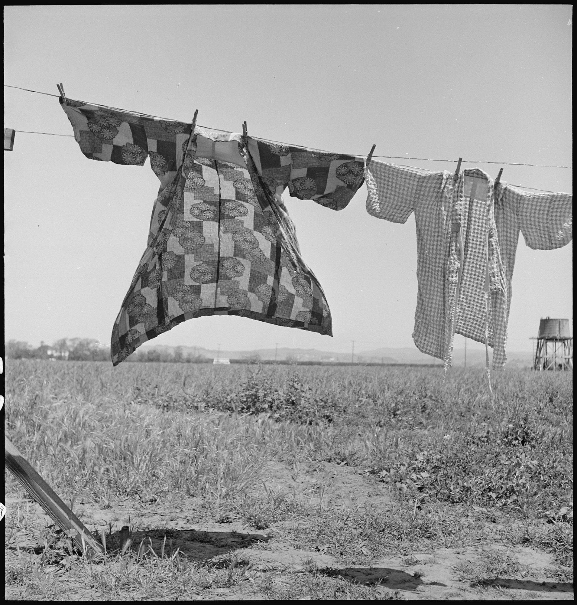 dorothea_lang_San_Lorenzo,_California._Washday_48_hours_before_evacuation_of_persons_of_Japanese_ancestry_from_th_._._._-_NARA_-_537542