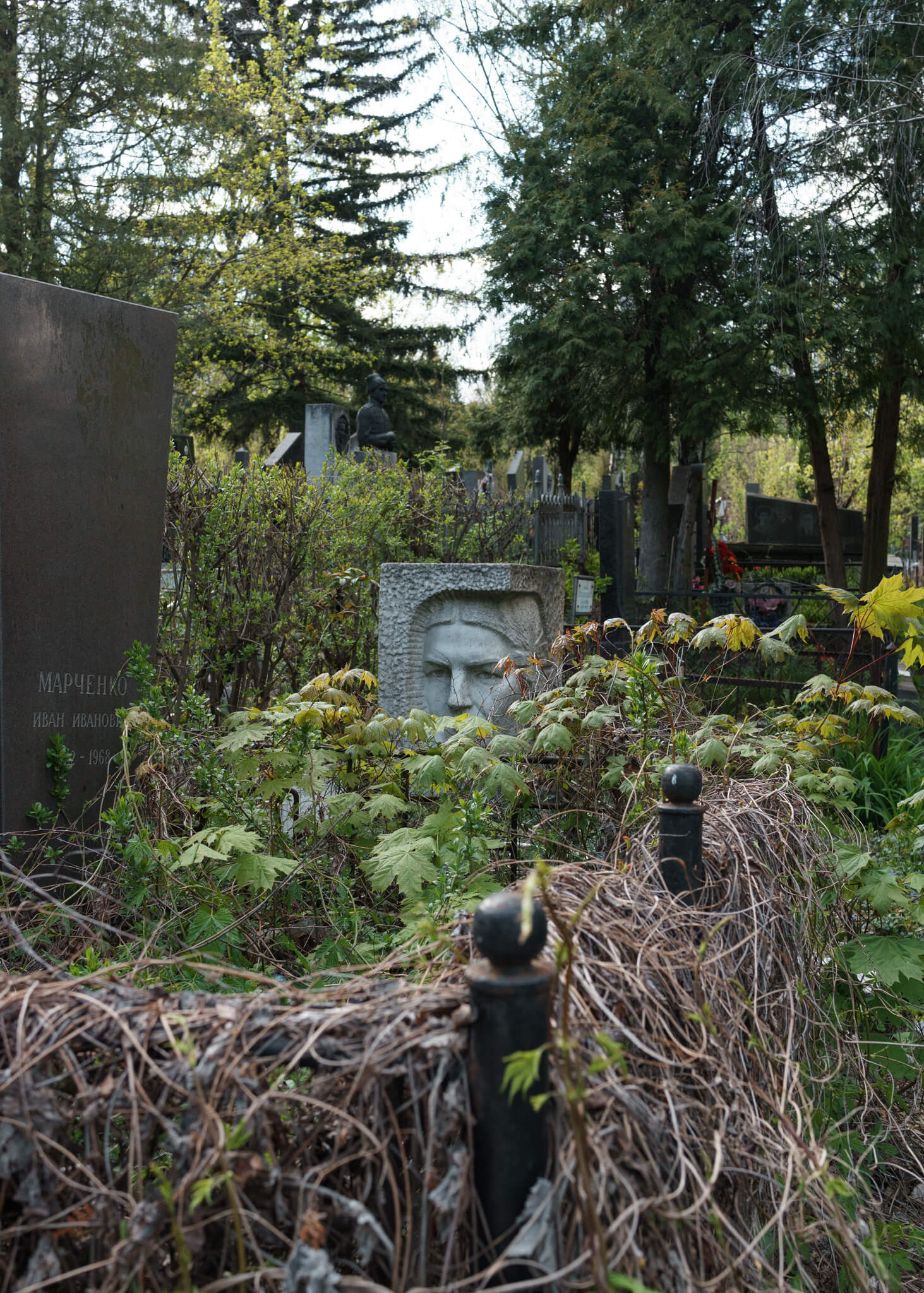 Байковое кладбище, Киев Дмитрий Пруткин