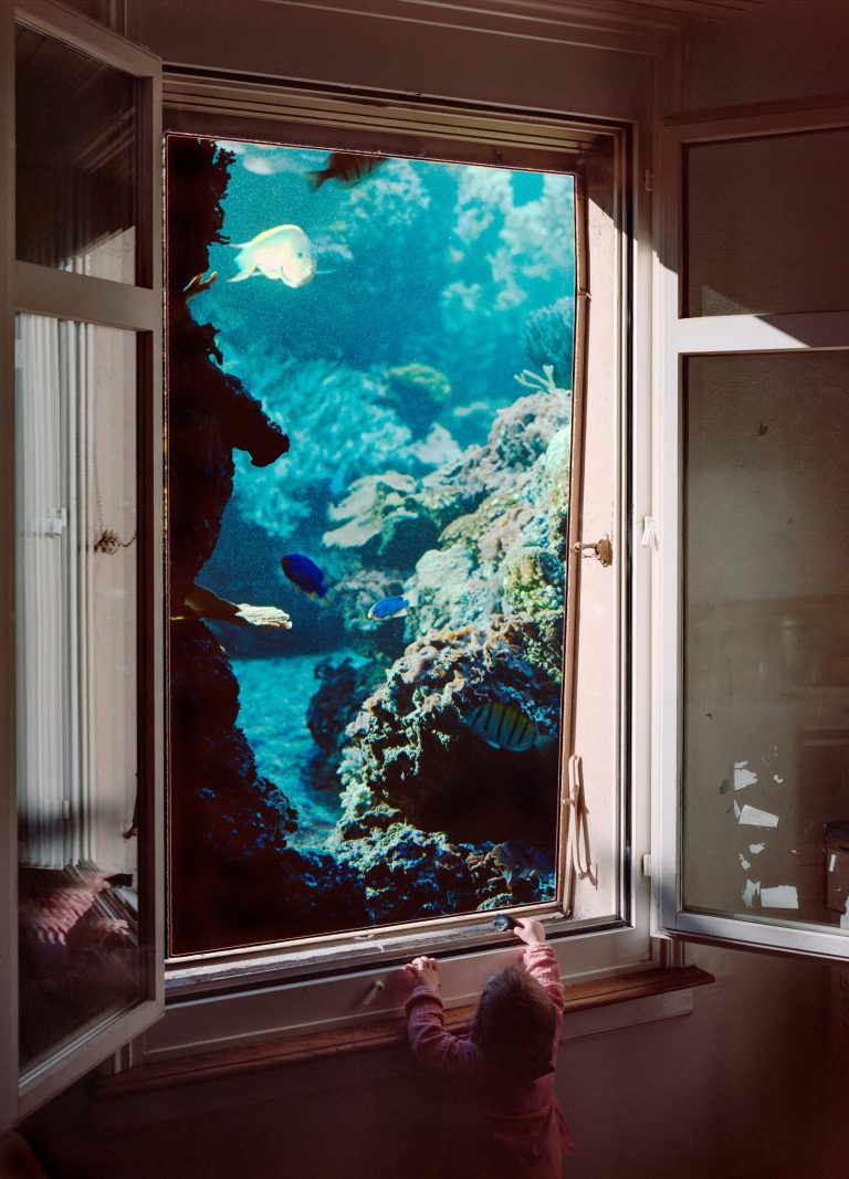 taiyo_onorato_nico_krebs_futur