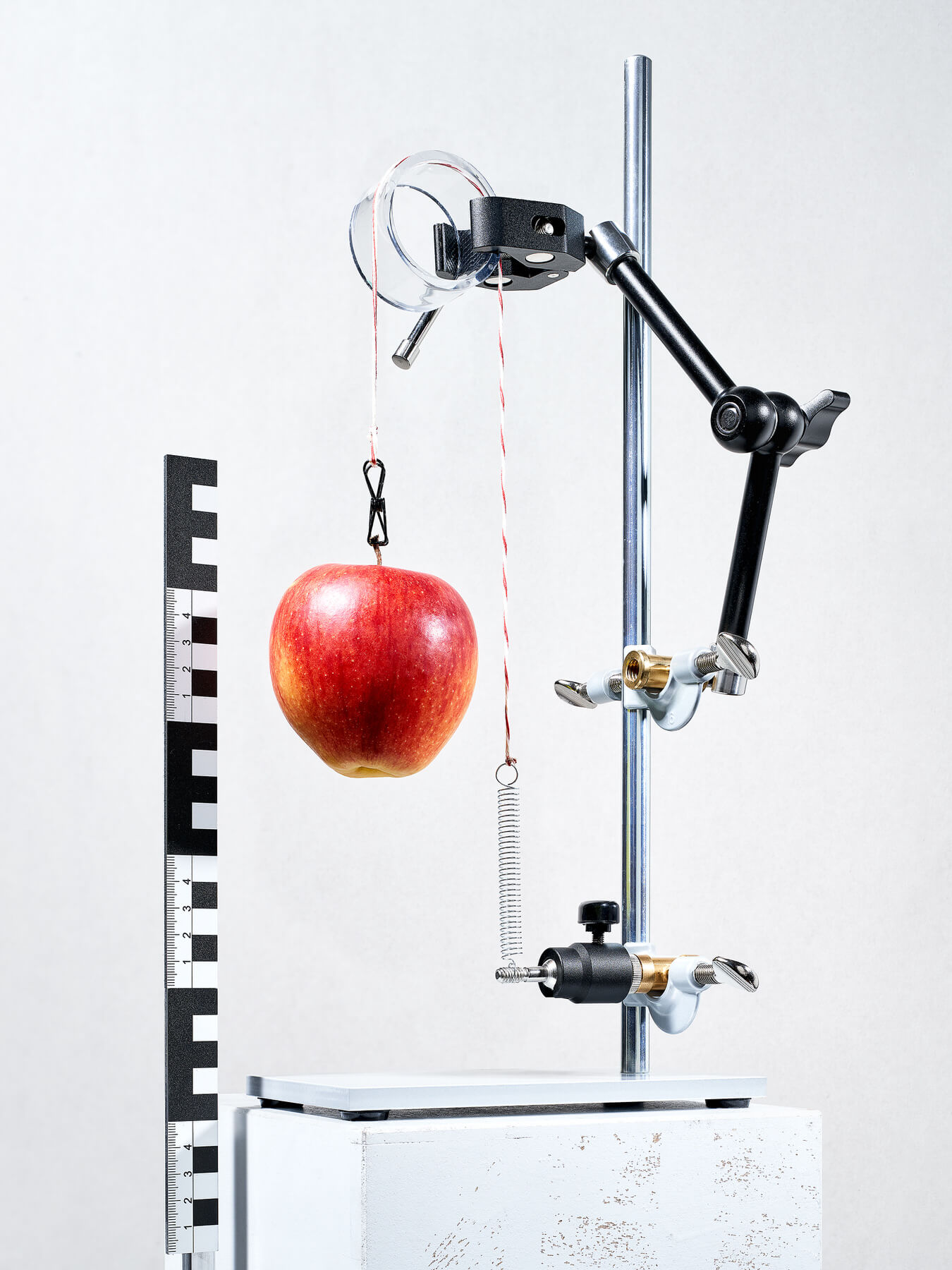 5446Felix_Schoeppner_Cognition_07_Newton_and_the_Apple