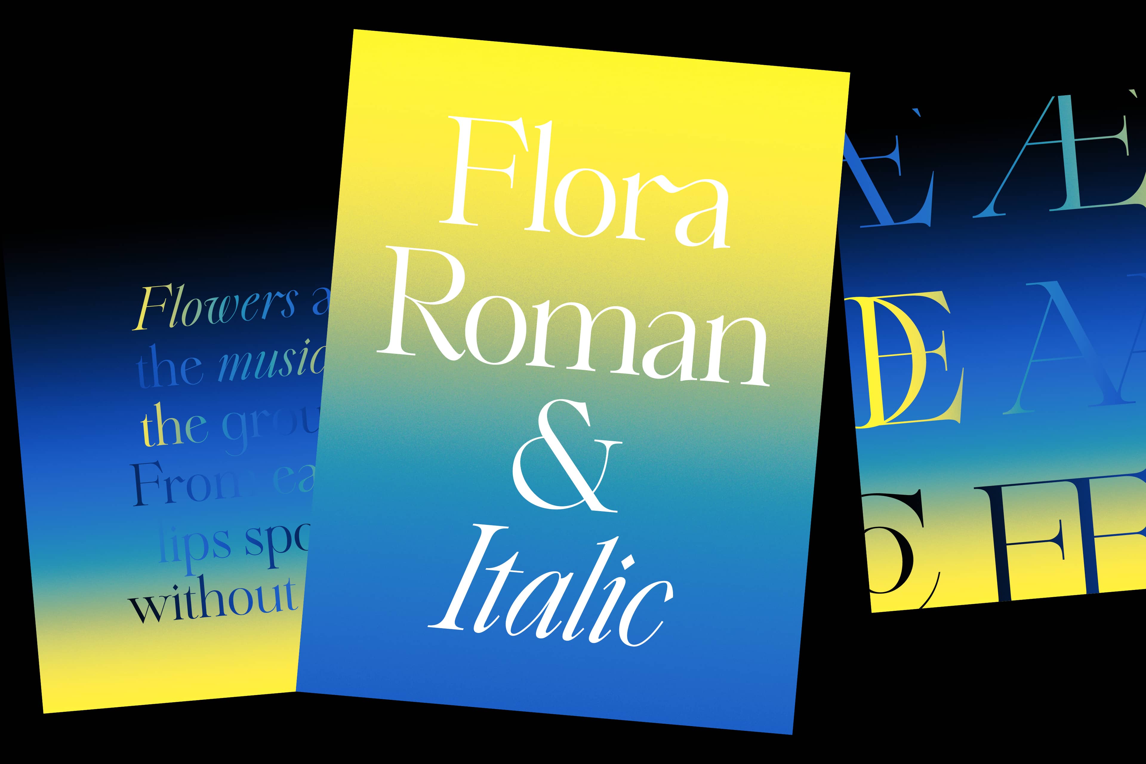 Ayako Ito Flora Roman Italic Type For Ukraine 2022